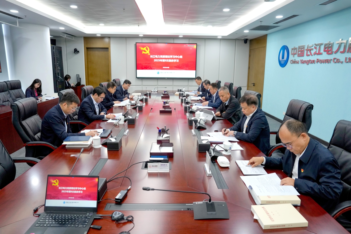 長(zhǎng)江電力黨委理論學(xué)習(xí)中心組專(zhuān)題學(xué)習(xí)黨的二十屆四中全會(huì)精神